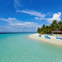 ბარი preview