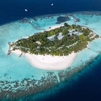 ყველა preview