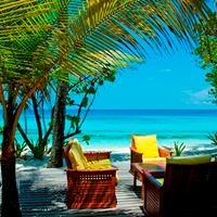 ბარი preview