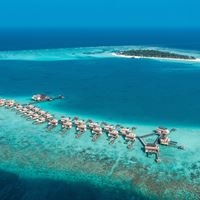 ყველა preview