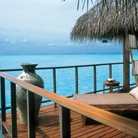 ნომრები preview