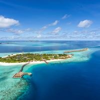 ყველა preview