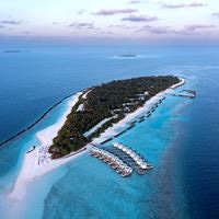 ყველა preview