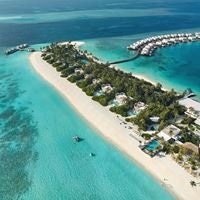 ყველა preview