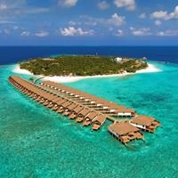 ყველა preview