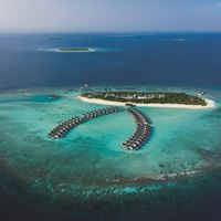 ყველა preview