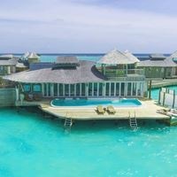 ნომრები preview