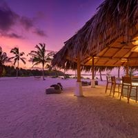 ბარი preview