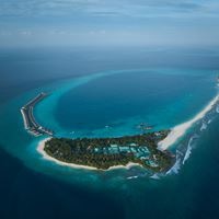 ყველა preview