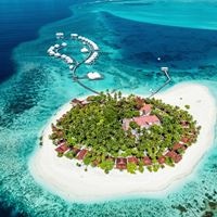 ყველა preview