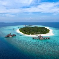 ყველა preview