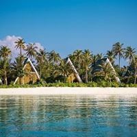 ყველა preview