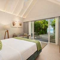 ნომრები preview