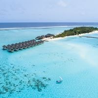 ყველა preview