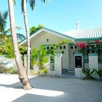 ყველა preview