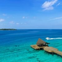 ყველა preview