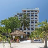 ყველა preview