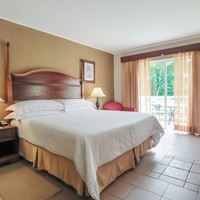 ნომრები preview