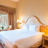 ნომრები preview