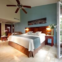 ნომრები preview