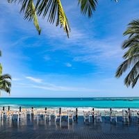 ბარი preview