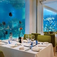 რესტორანი preview