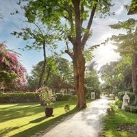 ყველა preview