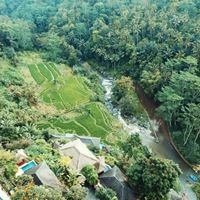 ყველა preview