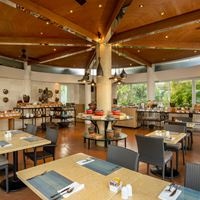Restaurants preview