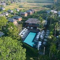 ყველა preview