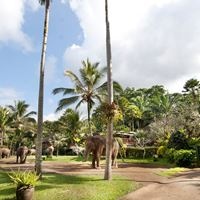 ყველა preview