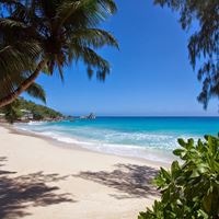 პლაჟი preview