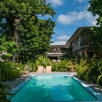 ყველა preview