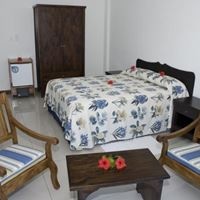 ნომრები preview