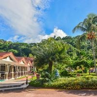 ყველა preview