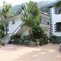 ყველა preview