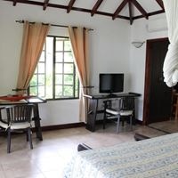 ნომრები preview