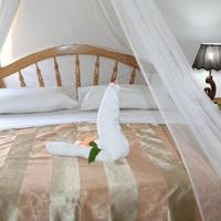 ნომრები preview