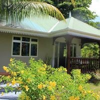 ყველა preview