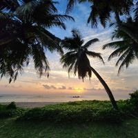 პლაჟი preview