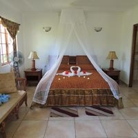 ნომრები preview