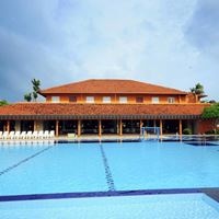 ყველა preview