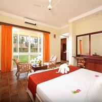 ნომრები preview