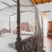 ნომრები preview