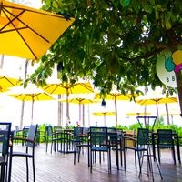 ბარი preview