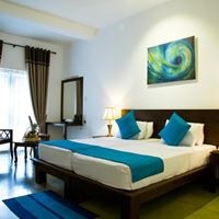 ნომრები preview