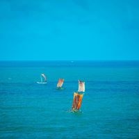 ყველა preview