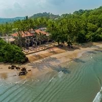 ყველა preview