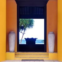 ყველა preview