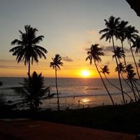 პლაჟი preview